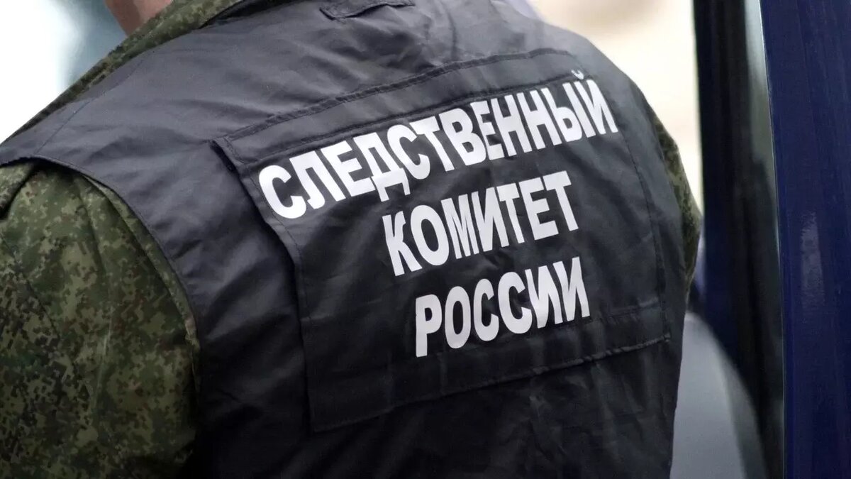     Следственный комитет Башкирии заинтересовался инцидентом с падением снежной глыбы на пенсионерку в Нефтекамске. Рухнувшая с крыши куча едва не убила пожилую женщину.