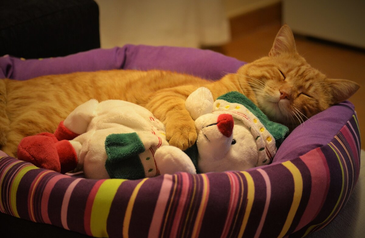 ... и сейчас.