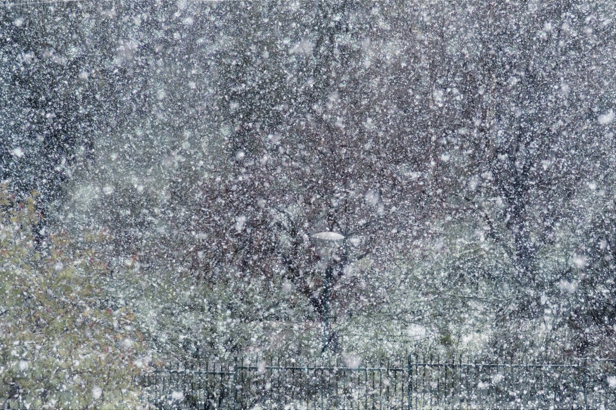 Снег летит... не видно зданий и машин... лишь снег... лишь снег... коллажик из сетевых файлов