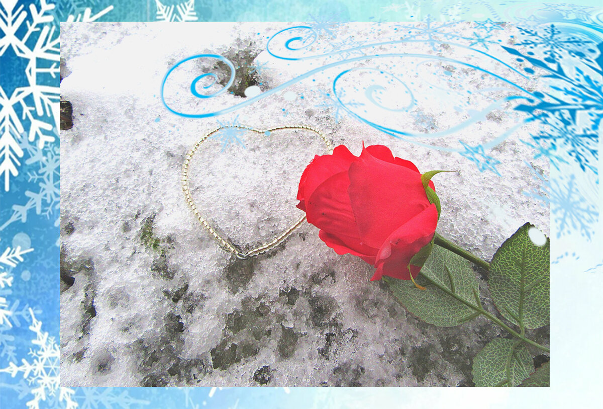 Таро-прогноз для Близнецов  - pxhere.com/ru/photo/1374823