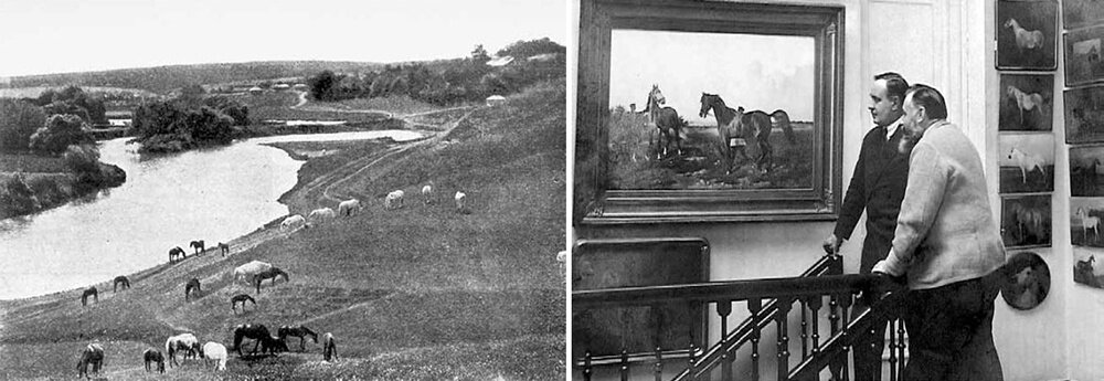    Лошади в заводе Я. Бутовича. 1913 год. Яков Бутович с гостем в галерее дома в Прилепах.