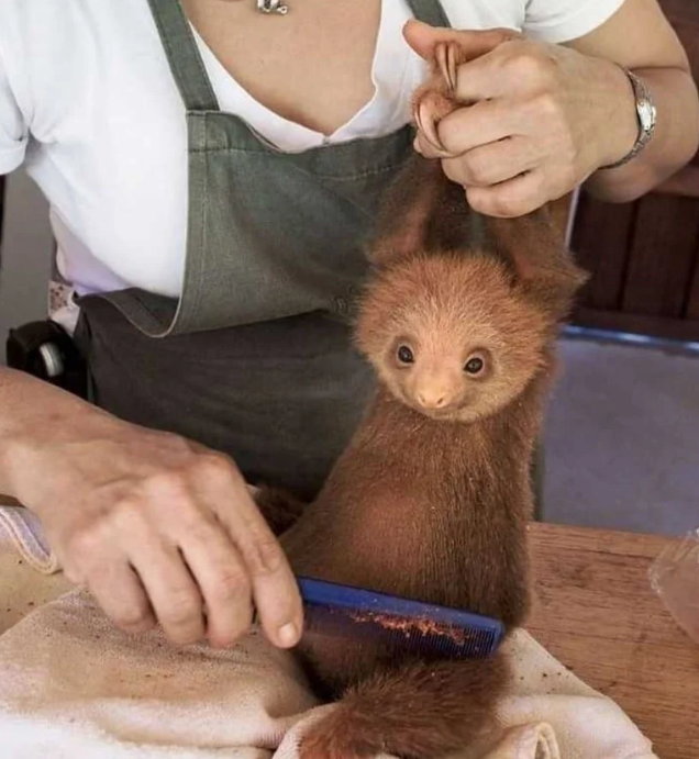 Любовь детей к животным. Доброта к людям. Объятия пожилых. Чуткость любовь. Всемирный денььдоброты.