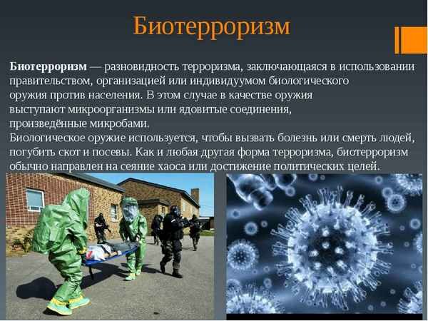 Определение того, что сделали в Курганской области