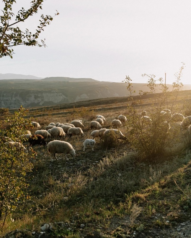 Стрелки солнце за горой. Рассвет солнца в горах. Восход солнца во владивостоке. Горы солнце. Солнце за горой слушать.