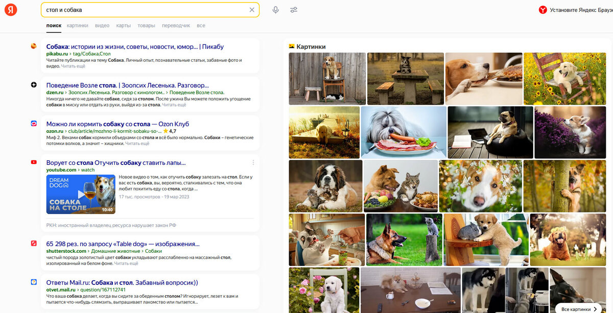 Выдача Яндекса по запросу "Стол и собака"