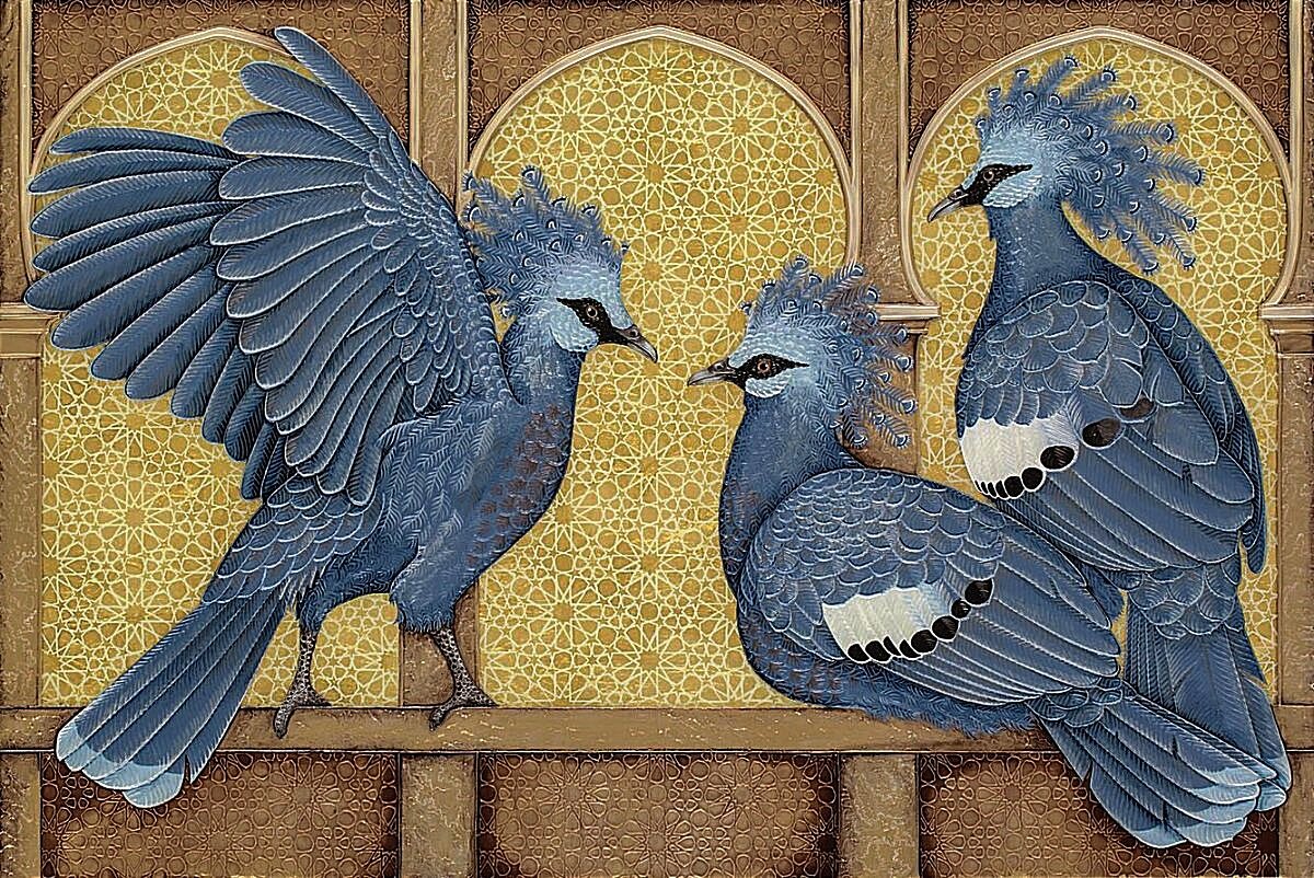 Венценосные голуби, действительно, считаются самыми крупными представителями современных голубиных, и, бесспорно, они - очень красивы! ФОТОГРАФИИ И ИЛЛЮСТРАЦИИ ВЗЯТЫ ИЗ ОТКРЫТЫХ ИСТОЧНИКОВ И ПРИНАДЛЕЖАТ ИХ АВТОРАМ,