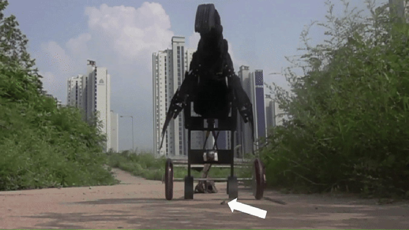    Jinseok Park, Piotr Jablonski et al., 2024