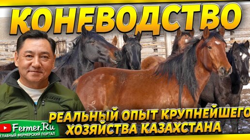 Как ведётся работа в хозяйстве над 10 000 поголовьем лошадей? Бауржан Оспанов.Коневодство Казахстана