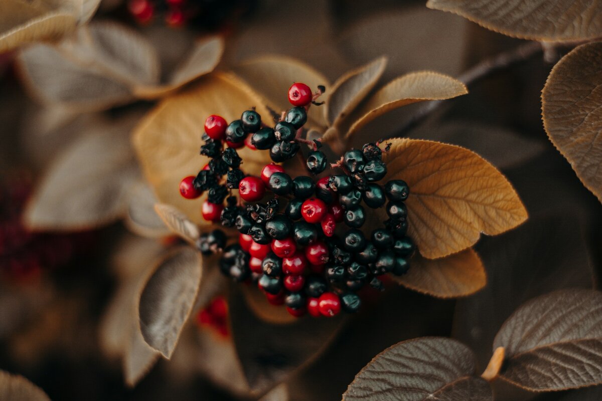 Фото Irina Iriser на Unsplash.