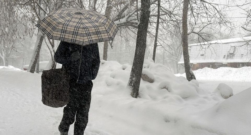    Фото: Alexander Legky / Global Look Press