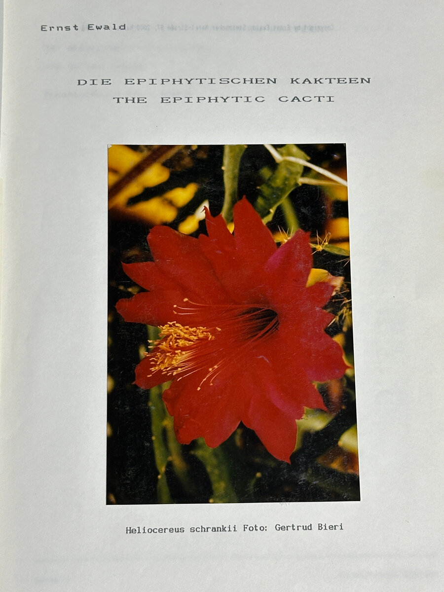 Будущая обложка так и не изданной книги.