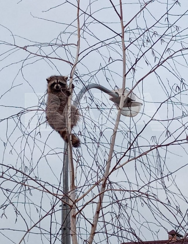 детская городская поликлиника номер 7 краснодар. запись на прием к врачу детская поликлиника. детская поликлиника на краснодарской. поликлиника 7 краснодар. детская 7 краснодар запись.