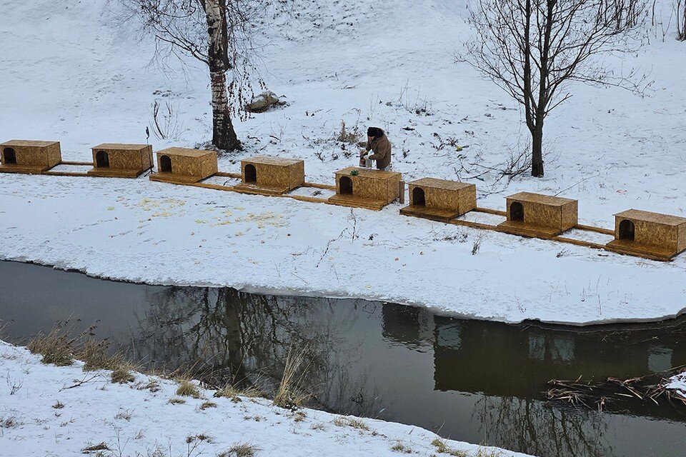    Домики для уток круглогодичные: птицы могут в них спрятаться от снега или дождя, или вздремнуть.