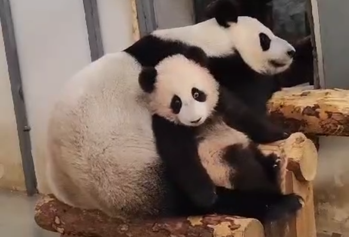    Фото: Telegram / Светлана Акулова