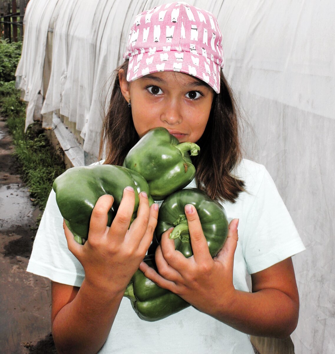 Вера в Юрге снимает урожай