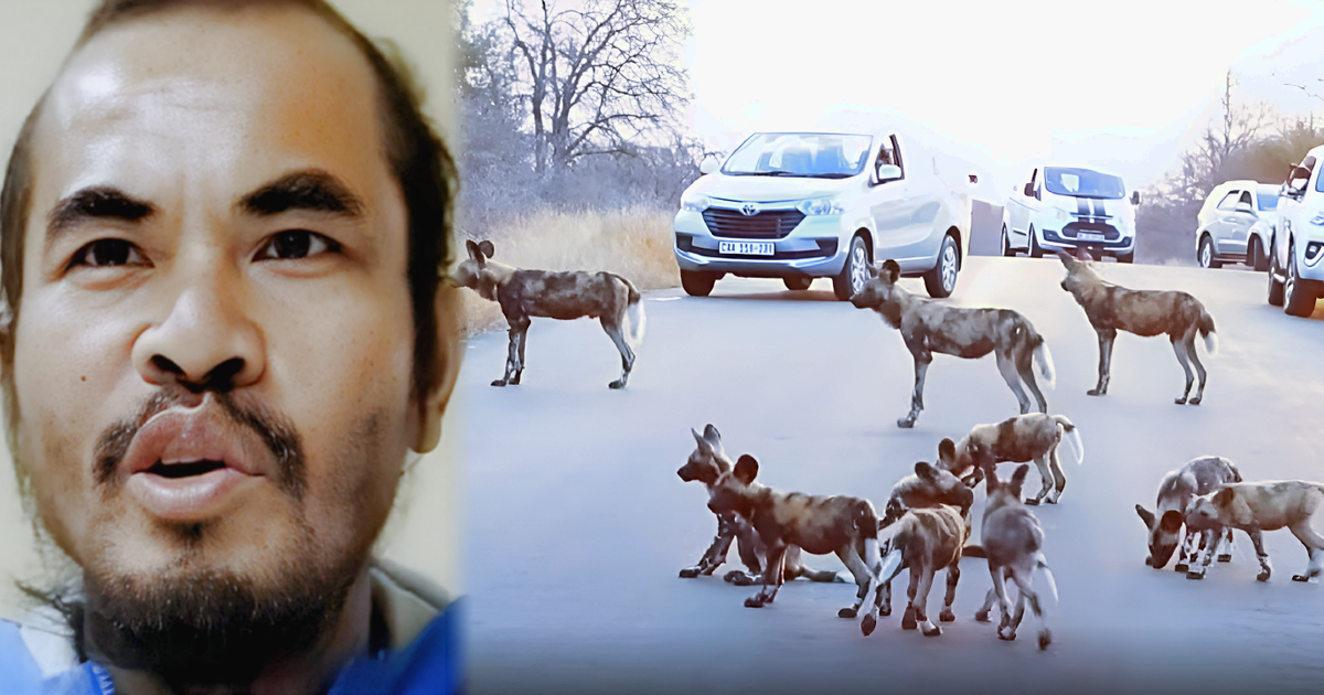 Жертва нападения и африканский дорожный затор (читайте ниже).