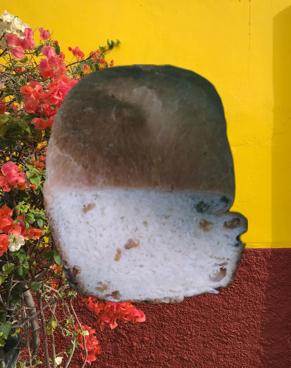 Это вариант с изюмом. Структуру теста видно. 