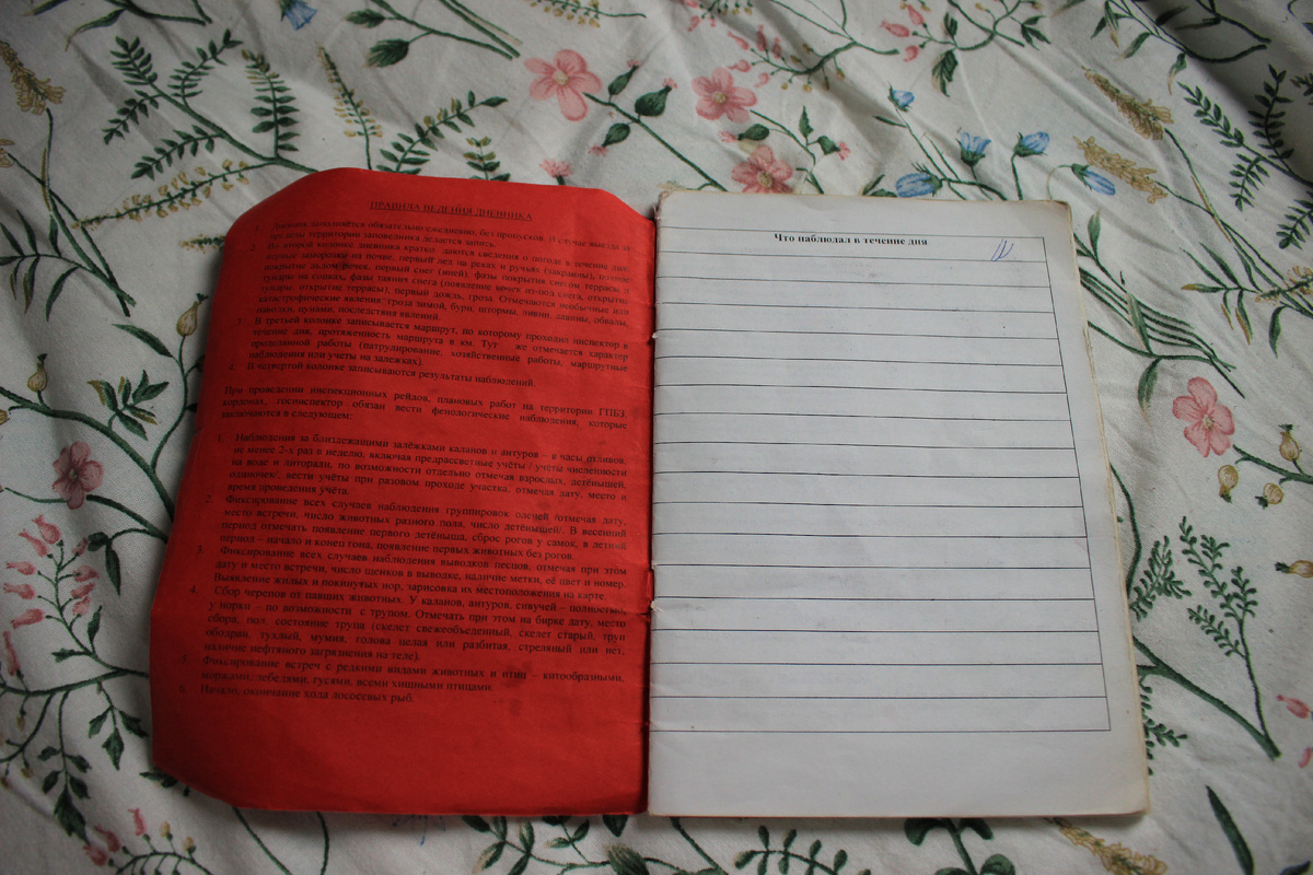 Служебный дневник