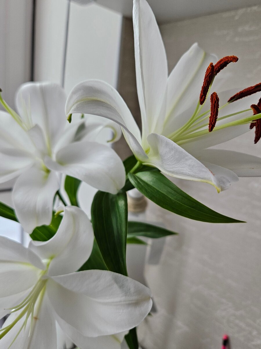 Skin Cycling и Skin Flooding очень модные сейчас методы. Фото автора