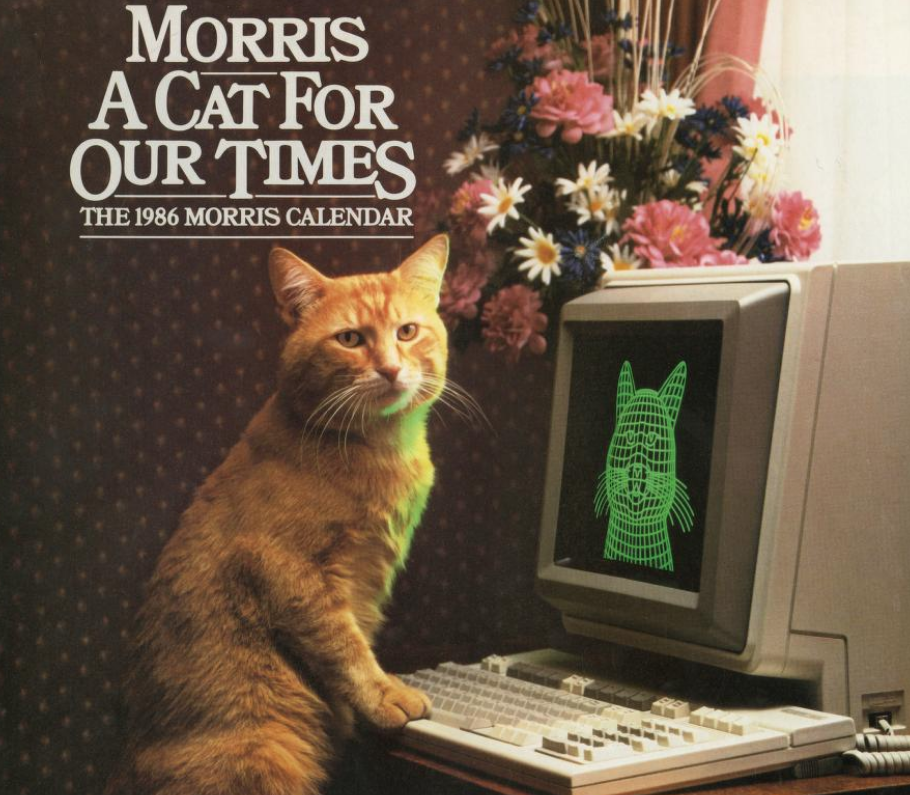 Это рыжик Моррис. Снимался в рекламе и умел нырять, хотя кошки избегают воды. Фото из открытых источников.