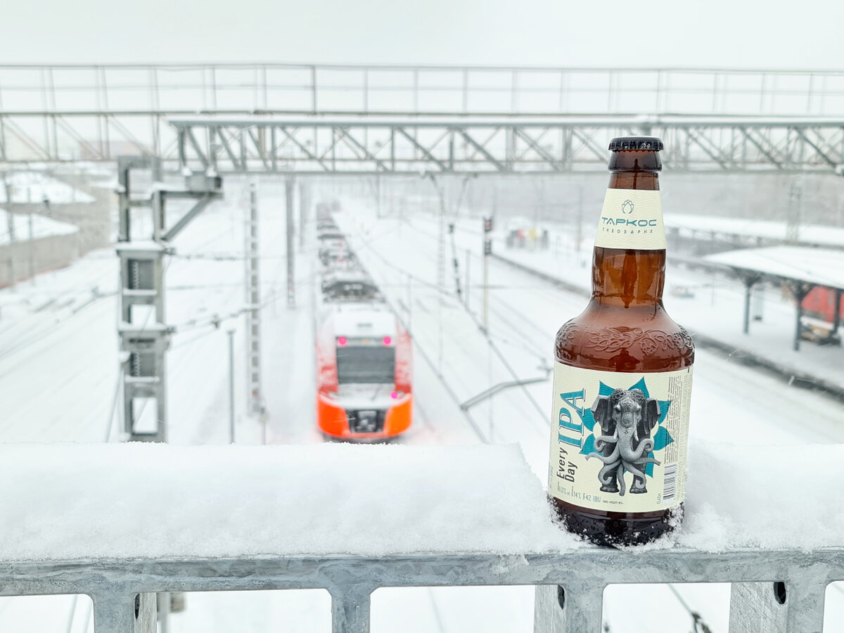 Every Day IPA, фото автора