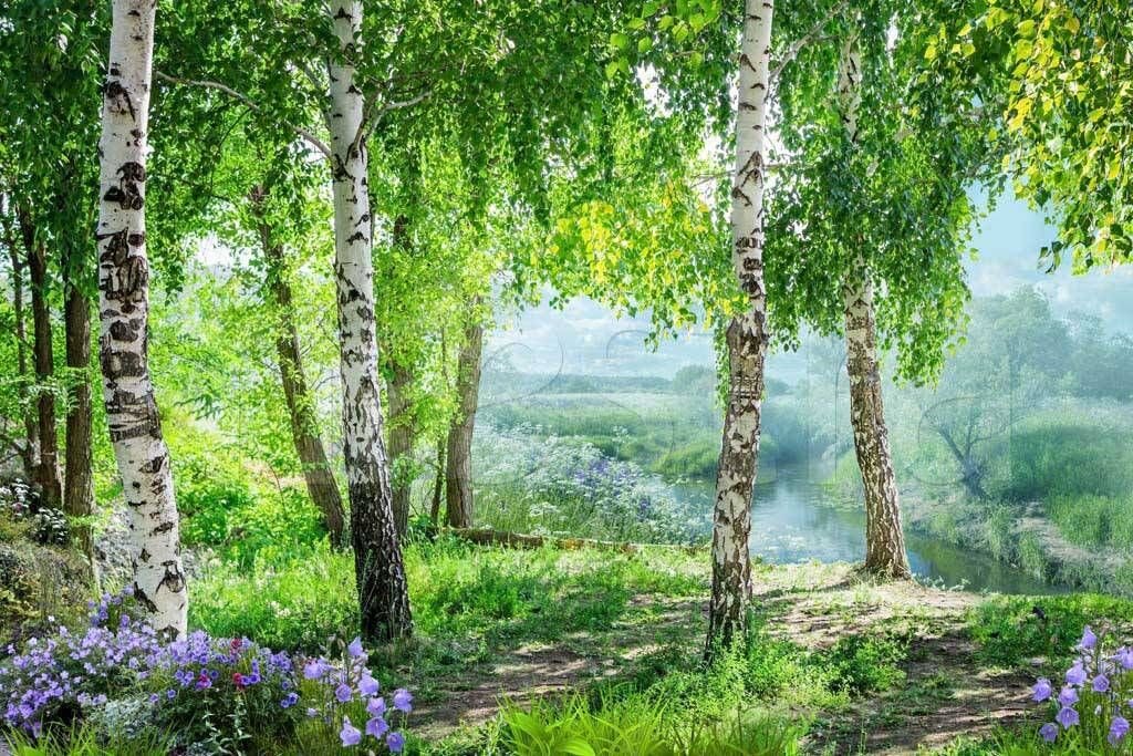Красота неописуема 