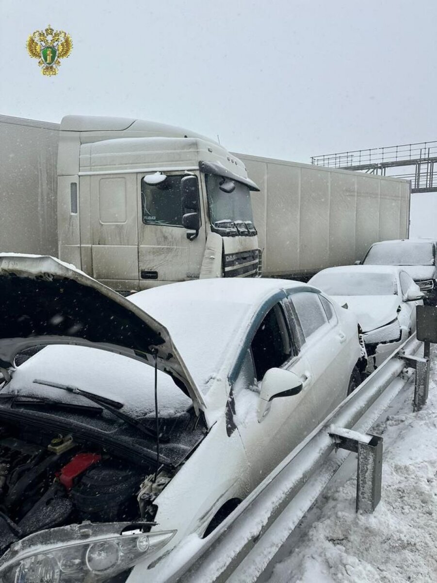 Ольга», хватит! В массовой аварии на М-4 в пурге столкнулись 29 авто |  Аргументы и факты – aif.ru | Дзен