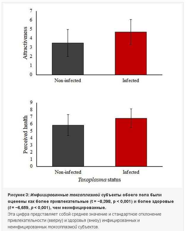 Противоложный пол начинает оцевать зараженного как более привлекательного и здорового. Фото с сайта https://peerj.com/articles/13122/