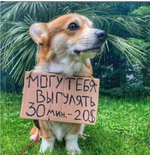 наши звонкие смешные. ногу свело юные смешные голоса. доки доки особое стихотворение. особые письма доки доки. пионерский барабан сигналы.