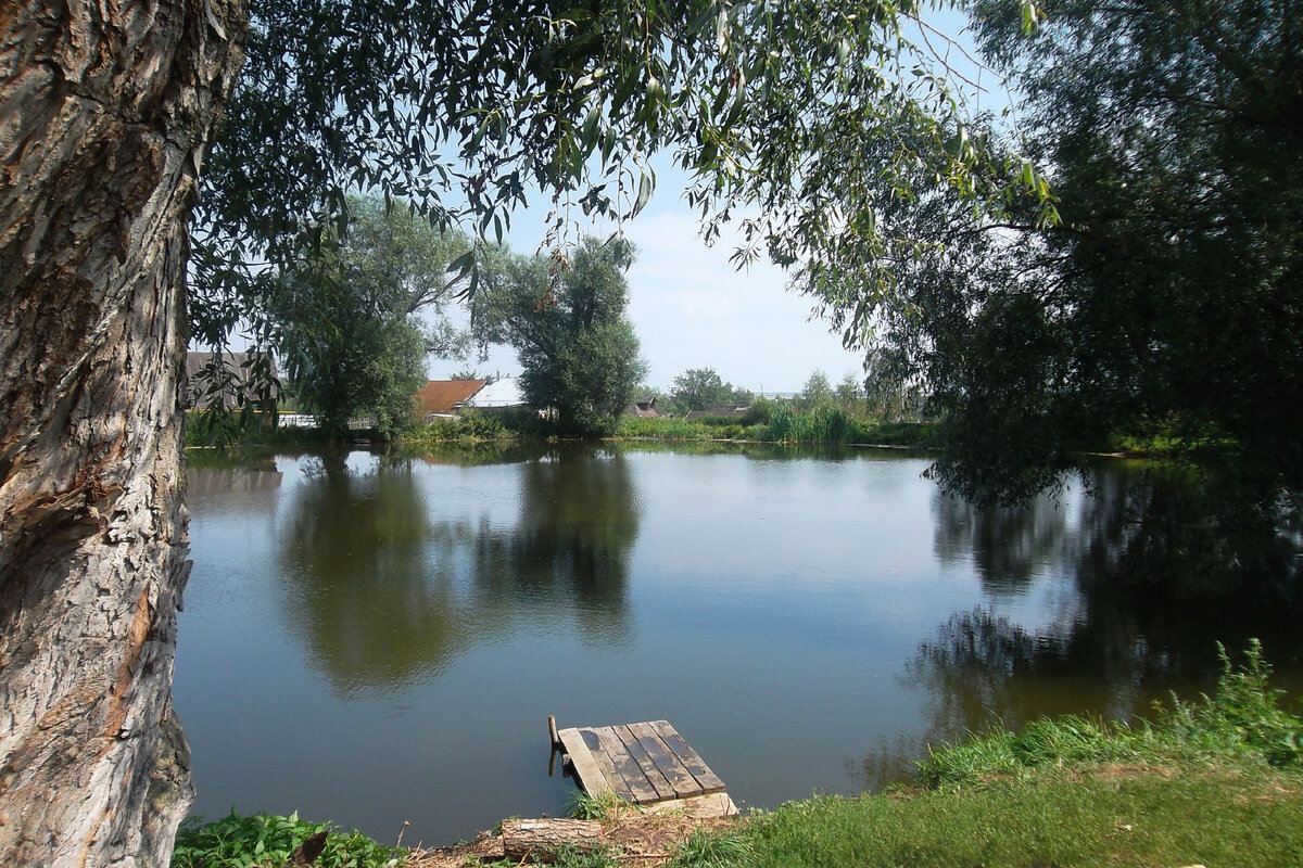 с.Курилово, безымянный пруд