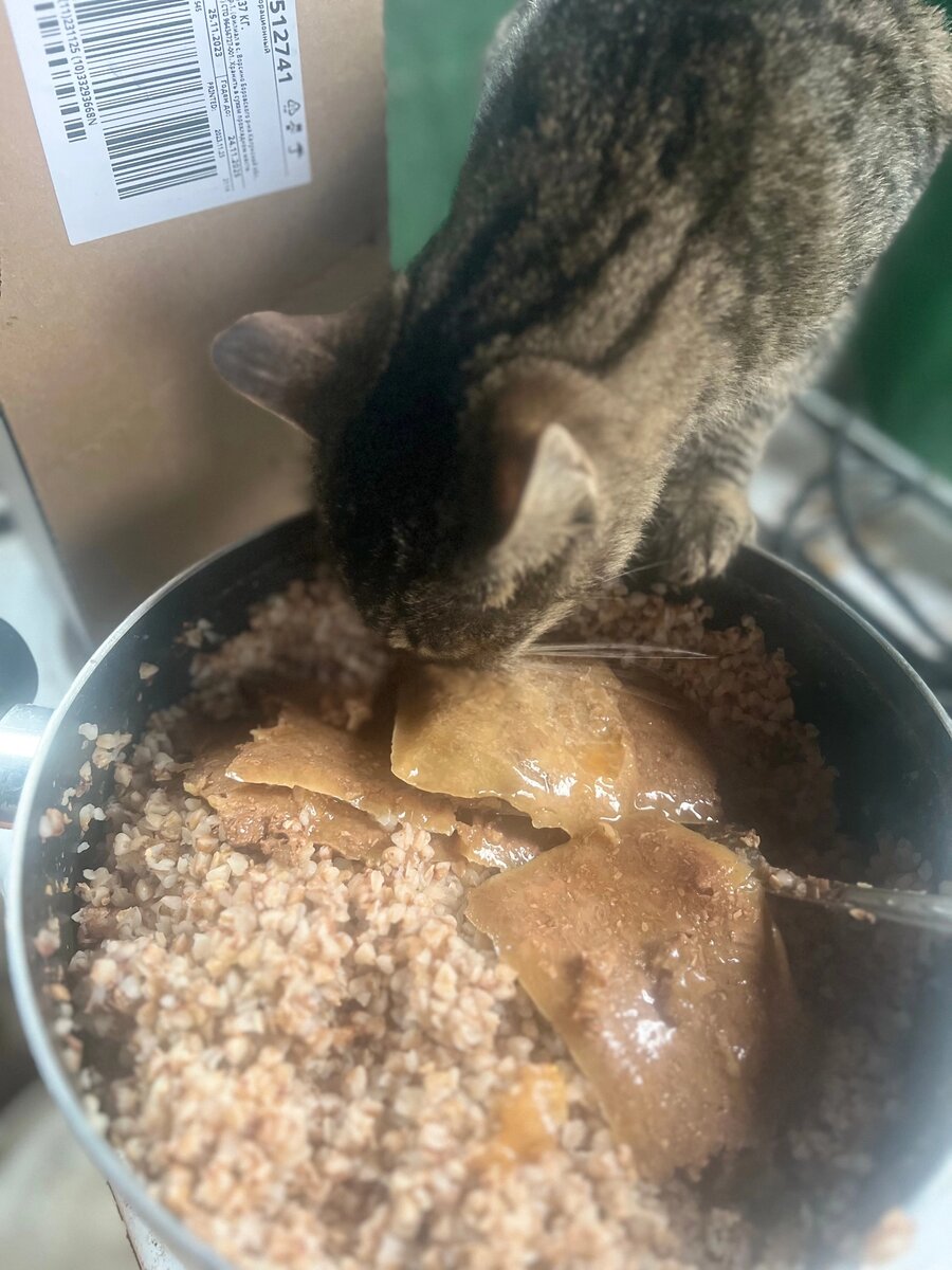 Как быстро высушить испаритель от воды. Впитывание влаги. Как высушить мокрое пятно на ковре. Просушить машину в салоне. Как высушить мокрую обувь.