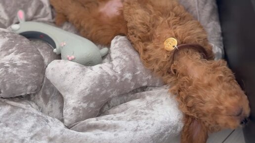 Фото на аву в стиме. F. Аватарка d. S. Черный фон эстетика.