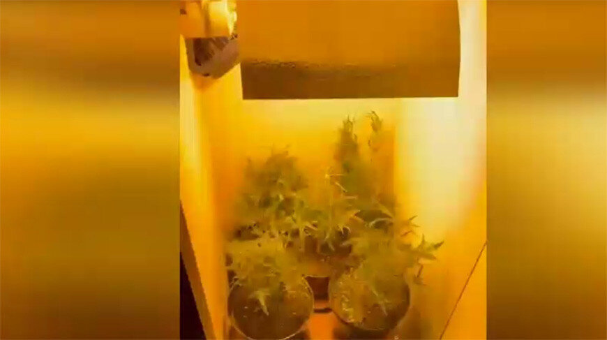 где производят кенезекс. дело где производят. дело где производят. дело где производят. варочный цех махеев.