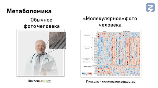 Что и как изучает метаболомика?