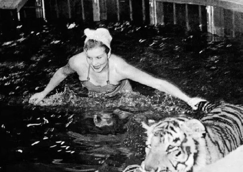 Эпизод заплыва тигров в море репетировали в специально собранном для этого бассейне.