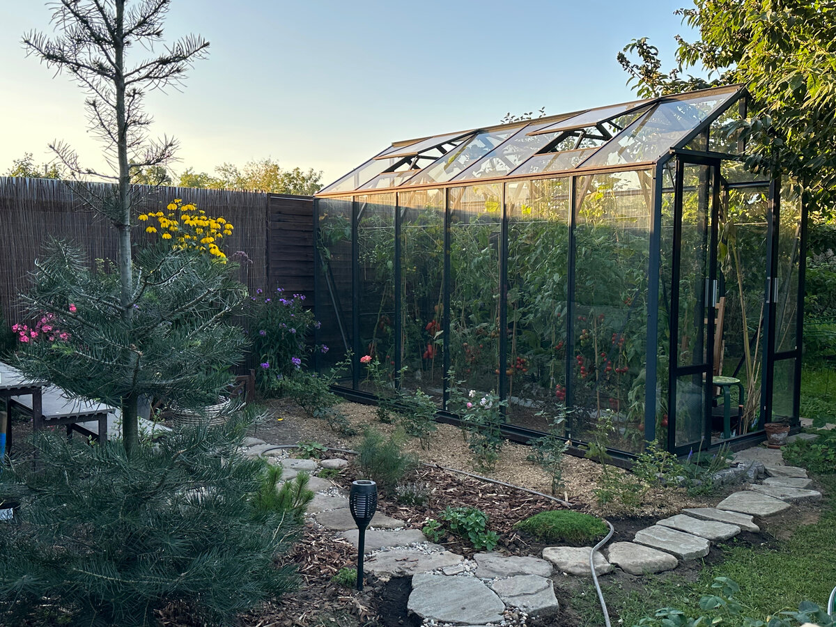 Фото в саду автора.