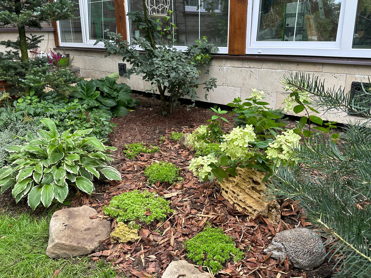 Фото в саду автора.