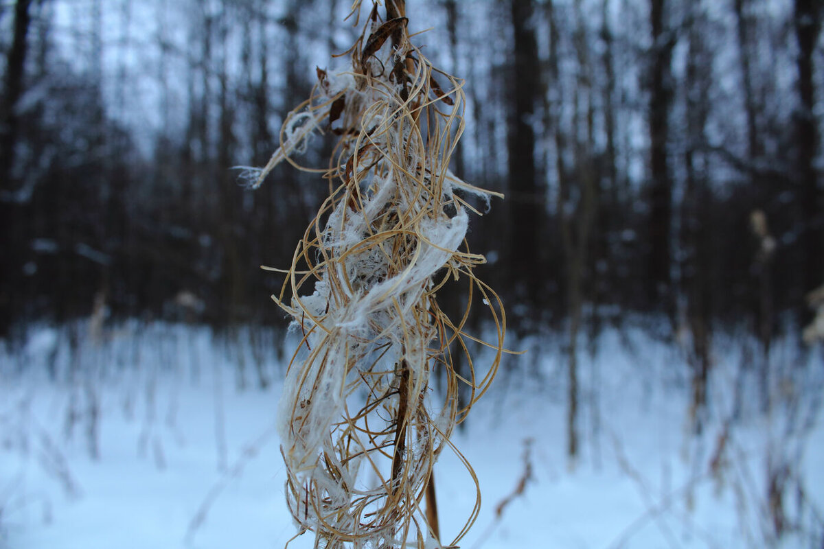 голая женщина с сумочкой. все решила какую сумочку хочу на 8 марта инкассаторскую картинки. афоризмы про дамскую сумочку. я все решу. решила какую сумочку хочу на 8 марта инкассаторскую.