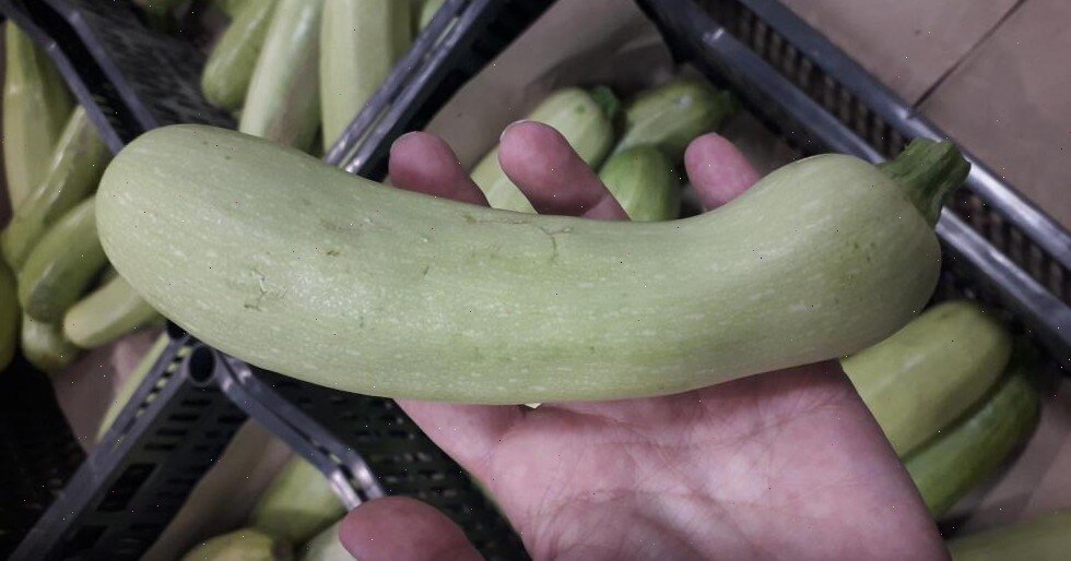 Найти хороший кабачок зимой - задача, конечно, не из простых...