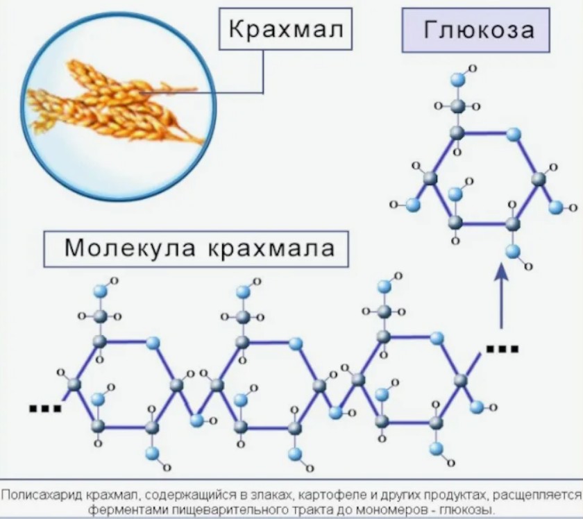 Фермент полисахарид