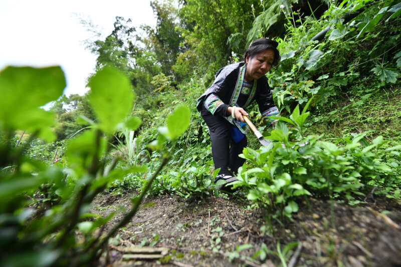    Фото: Huang Xiaobang/XinHua/globallookpress