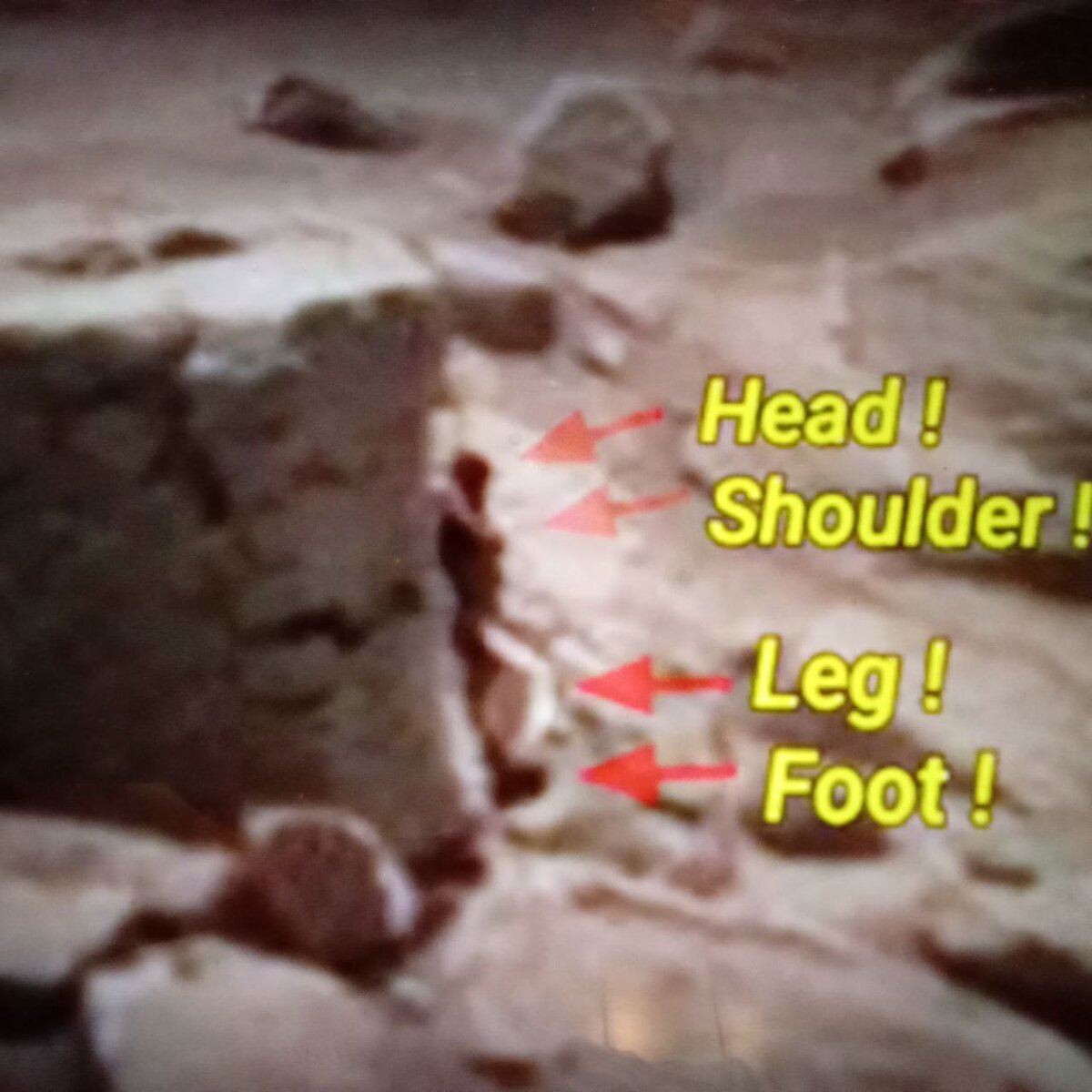 1. «1с: предприятие 8: ресторан» интерфейс. 3 бухгалтерия. 1с скд параметр. Стартовая страница 1с 8.