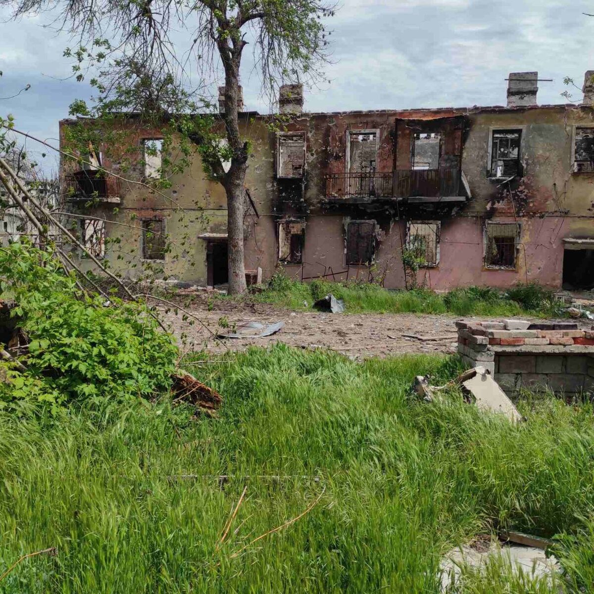 моя семья рассказать. моя семья. сочинение на тему моя семья. небольшой рассказ о семье. рассказать о своей семье.