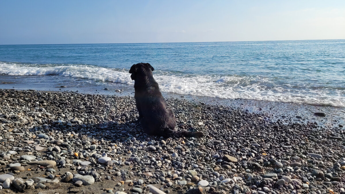 Мишка-"кулончик"