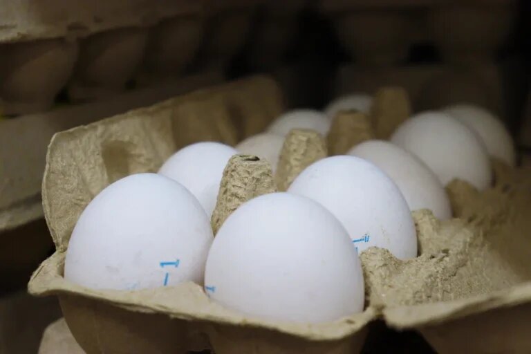 Фото: Амур.инфо