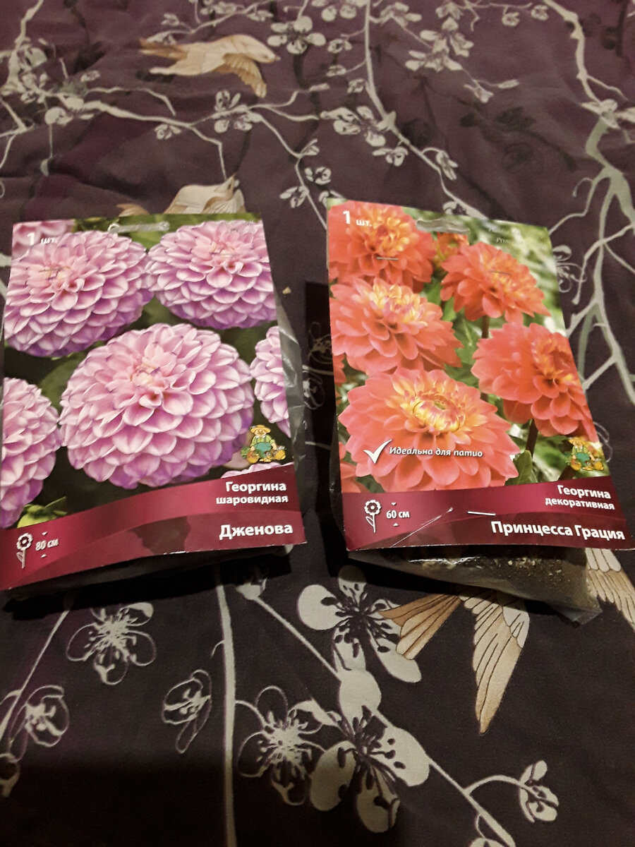 завещание после смерти наследника. решение о вступлении в наследство. вступление в права наследства. проживать наследство. завещание образец.