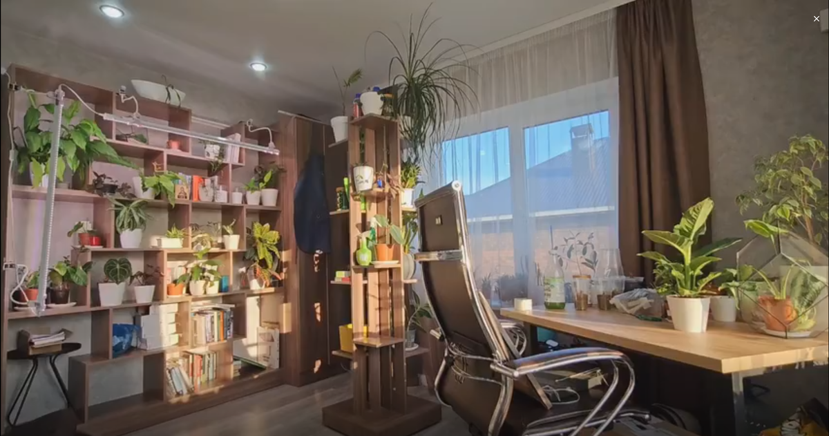 Моя цветочная комната. Ну куда тут стеллаж то еще?...