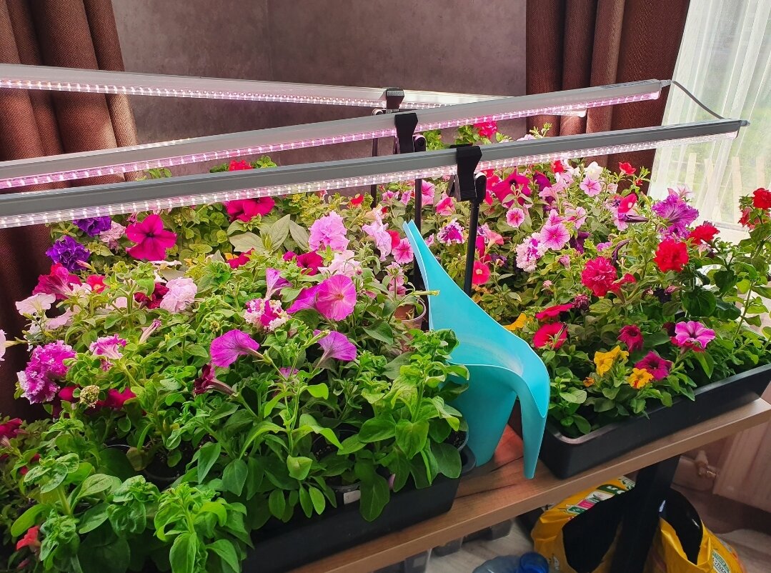 В прошлом году вот так было, на столе была красота!