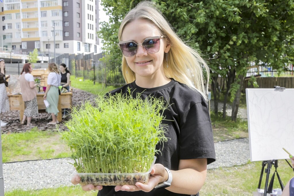    Первые северные посадки – цветы