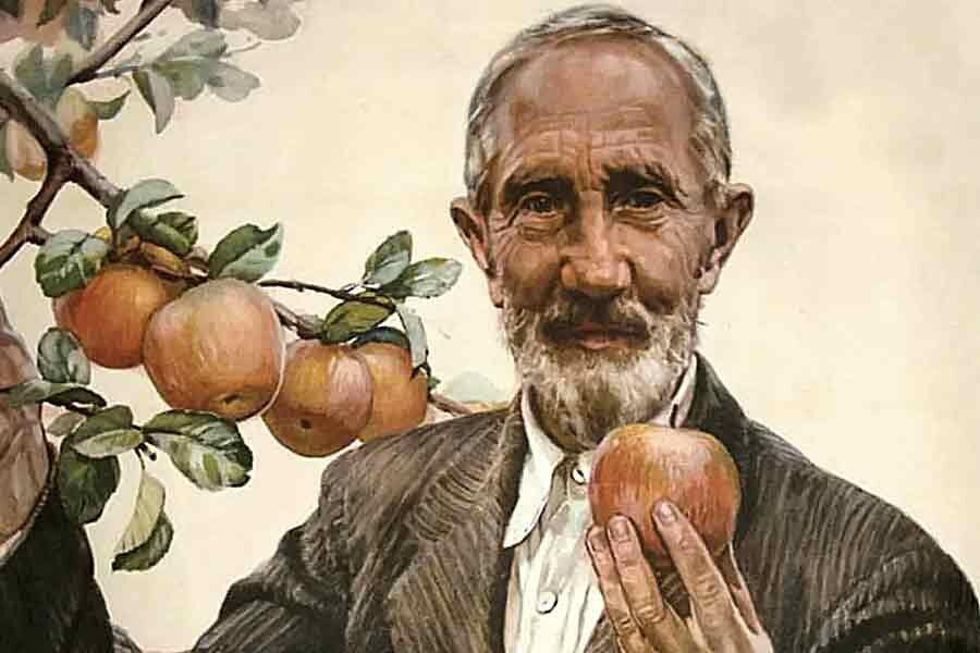 Российской науке посвящается. Жители Тверской области могут присоединиться к онлайн-программе Музея Победы